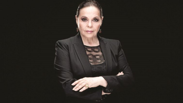 גילה אלמגור. צילום: פיני סילוק