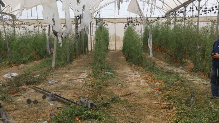 נפילת רקטה בחממה ביישוב יבול. צילום: דוברות המשטרה