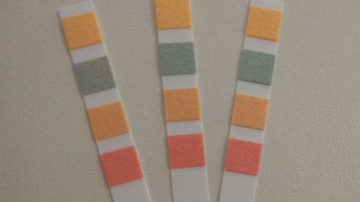 הסטיק יזהה רכיבים אלרגניים במזון. צילום: עמותת יוניסטרים