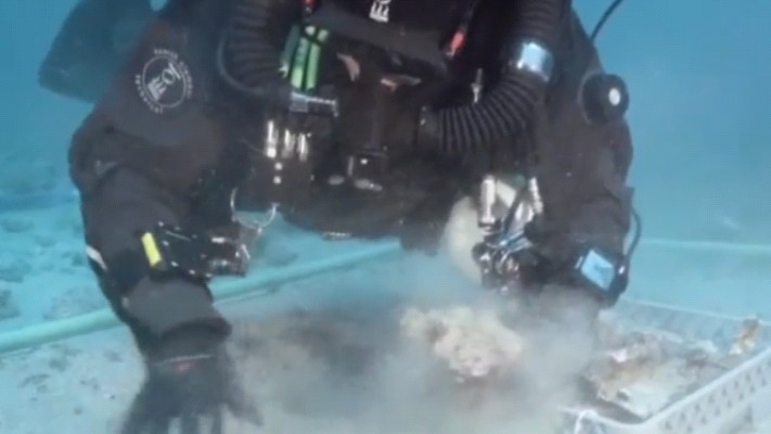 שלוש הגופות של החיילים לא מצאו מעולם. טוויטר