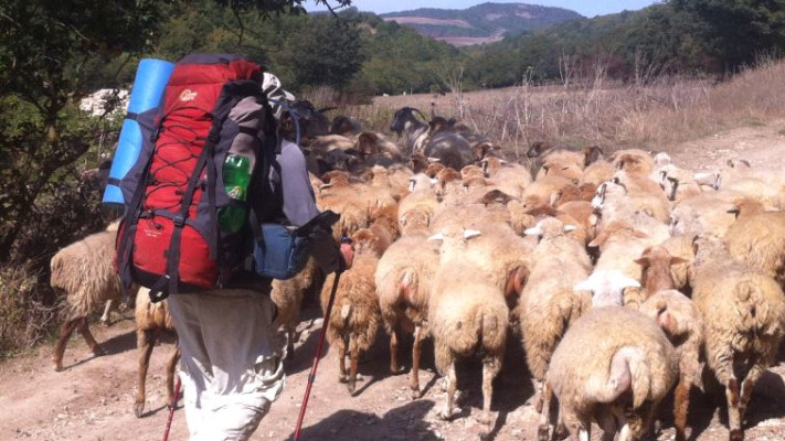 עבד כמורה לשל&quot;ח בבתי ספר. כוכבי בטיול בארמניה לפני התאונה
