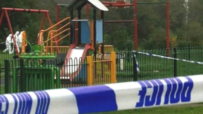 הפארק בו אירעה התקיפה. צילום מסך