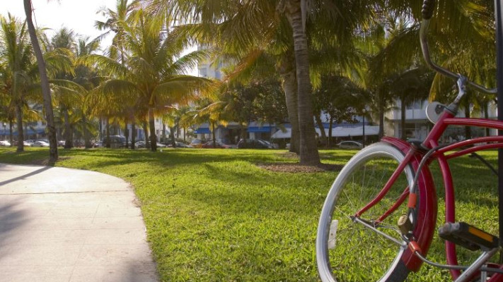 לחוצים? צאו אל הפארק ותיהנו מהטבע. צילום: אינגאימג