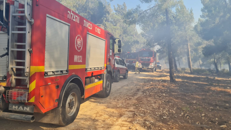 נזקי השריפה במנרה בגליל העליון