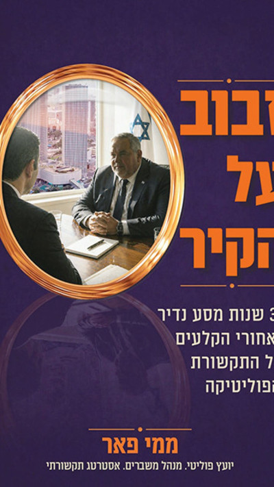 עטיפת הספר ''זבוב על הקיר''