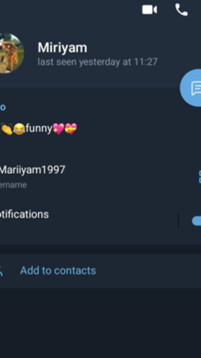 הפרופילים הפיקטיביים של גורמי המודיעין האיראניים