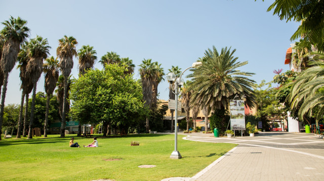 קמפוס מכללת סמינר הקיבוצים (צילום: ענר גרא)