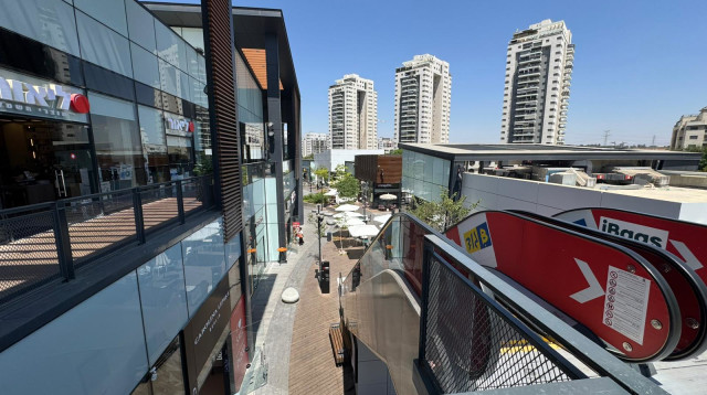 כרמי גת  (צילום: דן עזרא)