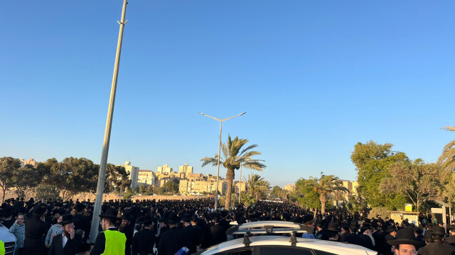 אלפי חרדים מחסידות גור מפגינים נגד חוק הגיוס בערד (צילום: פלד ארבלי)