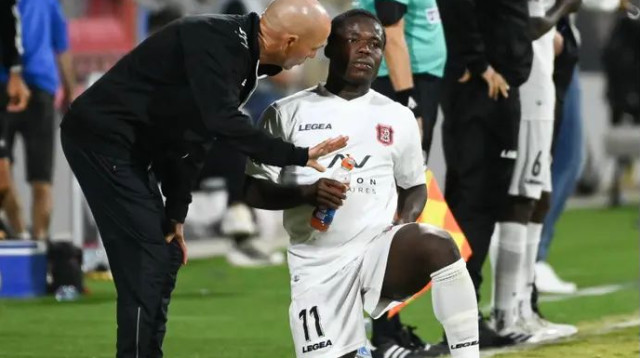 לא להיעצר. אריה (צילום: ברני ארדוב)