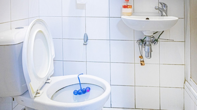 חדר שירותים. ניגוב הרחק מאזור האגן (צילום: שאטרסטוק)