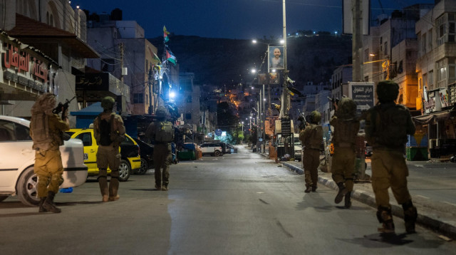 פעילות צה"ל ביהודה ושומרון (צילום: דובר צה"ל)