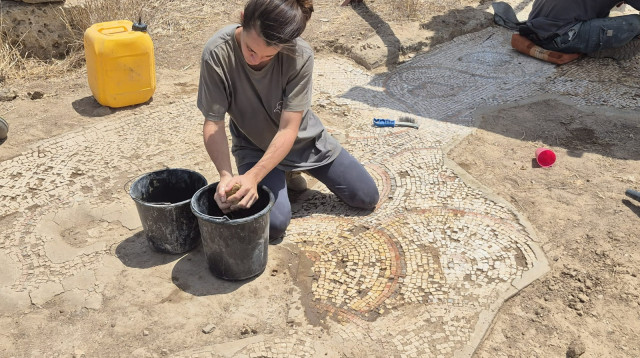הפסיפס בחורבת גררית (צילום: ד"ר ליאור שוימר, רשות הטבע והגנים)