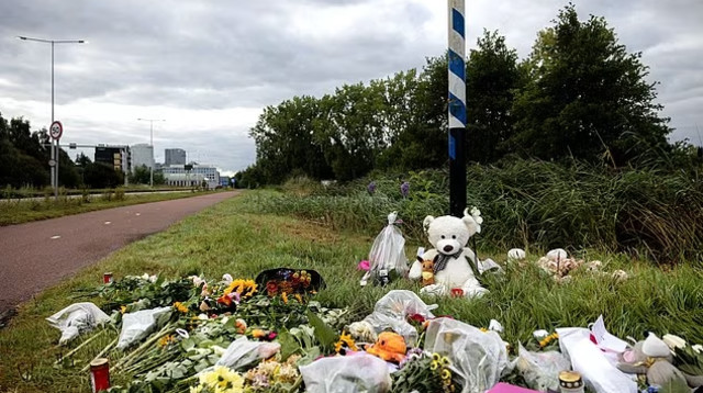 מקום הירצחה של ליזה (צילום: שאטרסטוק)