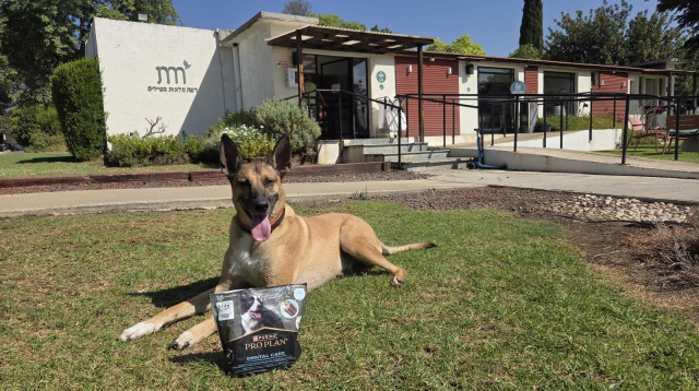 מלון מטיילים ארץ דפנה (צילום: אדם צור)