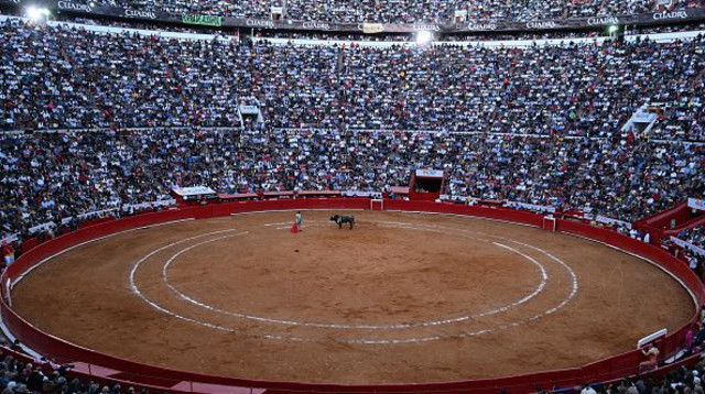זירת קרבות שוורים (צילום: Gettyimages)