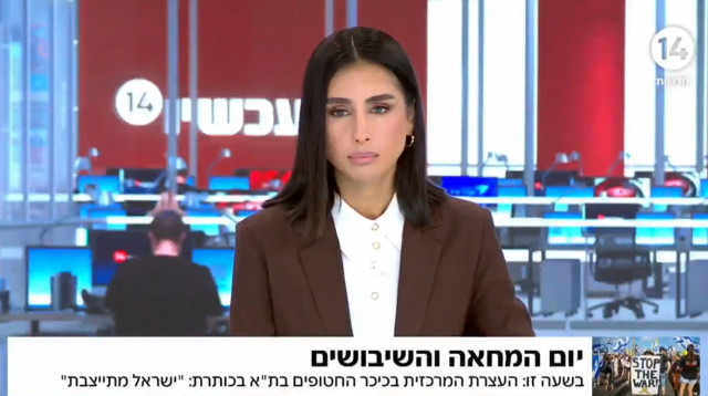 מגי טביבי (צילום: צילום מסך ערוץ 14)