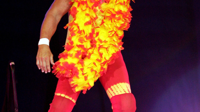 האלק הוגאן (צילום: צילום : GettyImages)