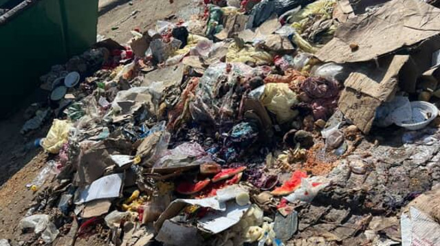 ליקויי תברואה בבסיס סיירים (צילום: שימוש לפי סעיף 27א')