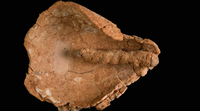 הנר ובו פתילת בד מהקדומות הידועות בעולם (צילום: דפנה גזית, רשות העתיקות)