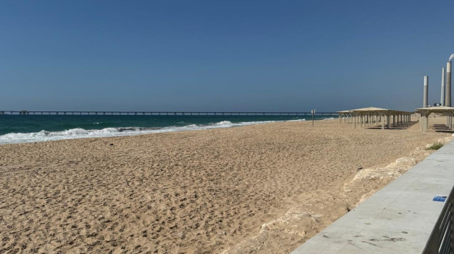 חוף זיקים (צילום: דן עזרא)