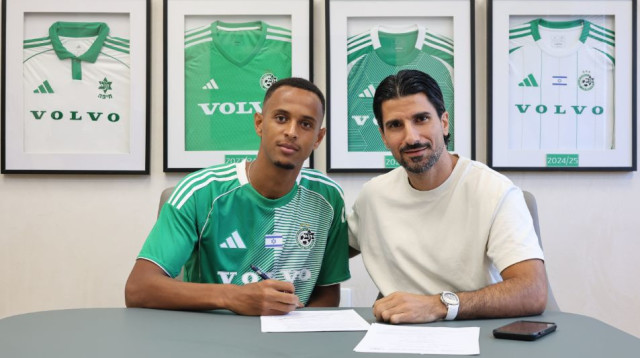 Screenshot 2025-09-03 123116 (צילום: )