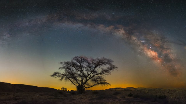 שביל החלב למרגלות נחל צין   (צילום: דורי דרוויש)