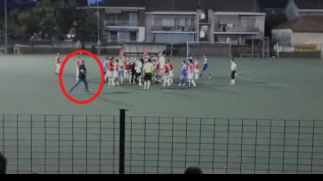 2a85e5f7-04cc-4233-b1ae-139b3050da11 (צילום: צילום מסך, X (טוויטר))