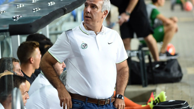 מנהל מכבי חיפה רפי אוסמו (צילום: ברני ארדוב)