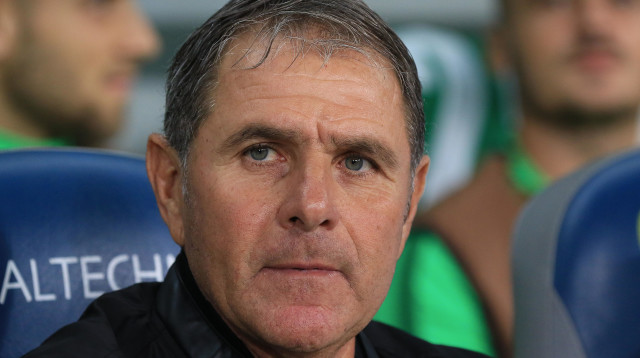 אלי גוטמן (צילום: ערן לוף)