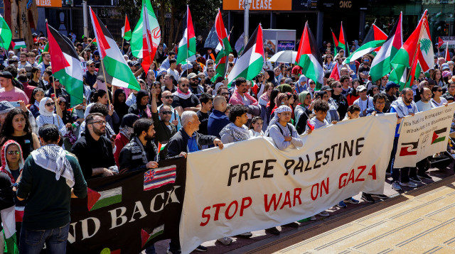 הפגנה פרו פלסטינית, ניו זילנד (צילום: רויטרס)