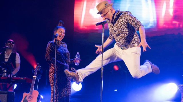 טיפקס (צילום: משה צ'יטיאת)