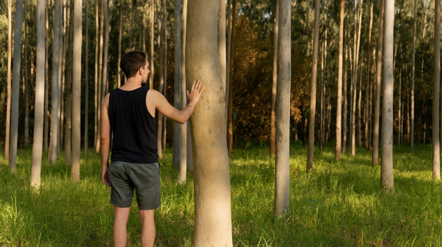 רפואת יער. הפחתת קורטיזול (צילום: מעריב אונליין)