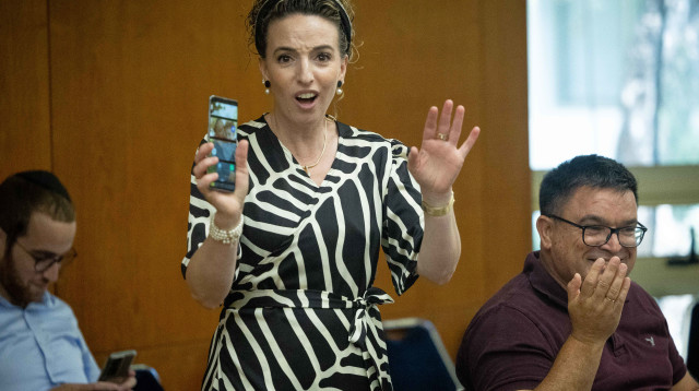 עידית סילמן (צילום: יונתן זינדל פלאש 90)