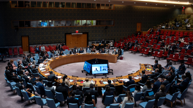 מועצת הביטחון של האו"ם (צילום: REUTERS/Angelina Katsanis)