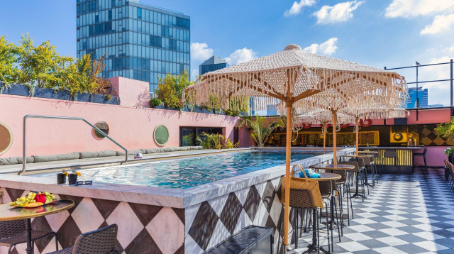 הבריכה על הגג במלון בובו  (צילום: מקס קובלסקי)