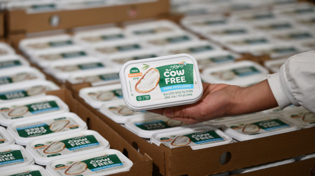 גבינת סימפוניה COWFREE  (צילום: פלג אלקלעי)