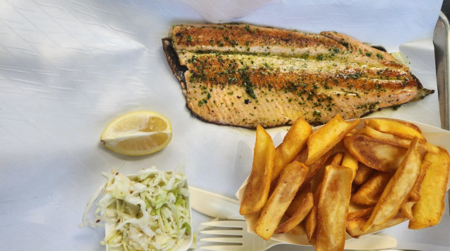 פיש גארדן (צילום: מאור בכר)