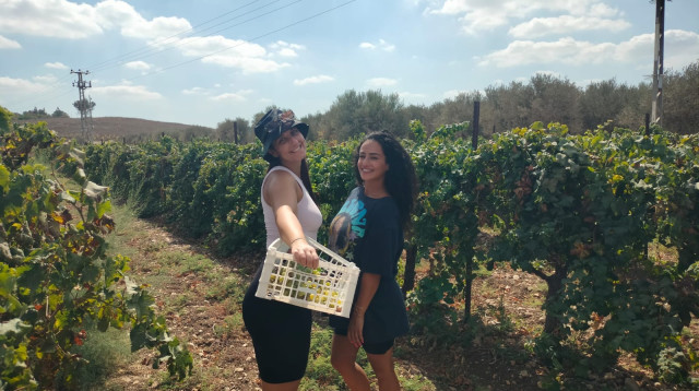 פרויקט תגלית (צילום: ג'וש ארונסון)