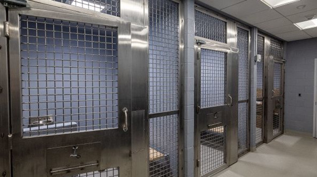 בית סוהר (אילוסטרציה) (צילום: Newsday LLC)