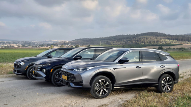 TRIPLE HYBRID (צילום: דודי מוסקוביץ)