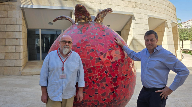 פסל הרימון (צילום: ג'וש ארונסון)