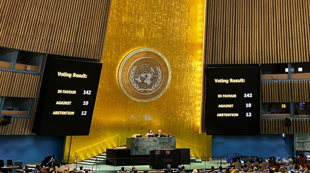 דיון האו"ם על תמיכה בפיתרון שתי המדינות (צילום: דוברות שגריר ישראל באו"ם)