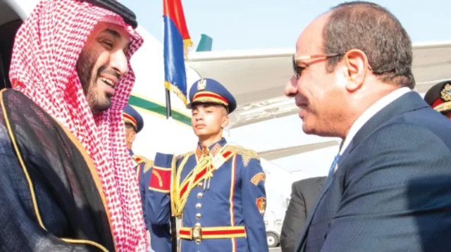 בן סלמאן וא-סיסי  (צילום: רויטרס)