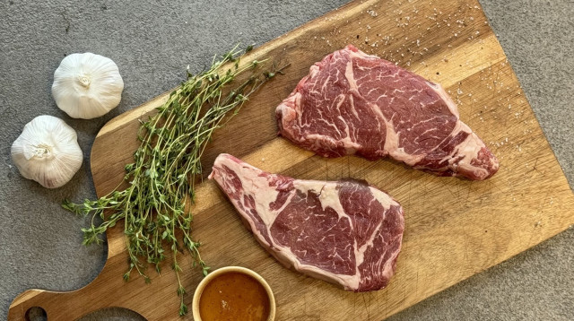 האני מו, מיטמן (צילום: ירין לוגסי)