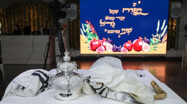 ספר תורה חדש הוכנס לבירוביג'אן (צילום: ל. צ'ורמלינו)