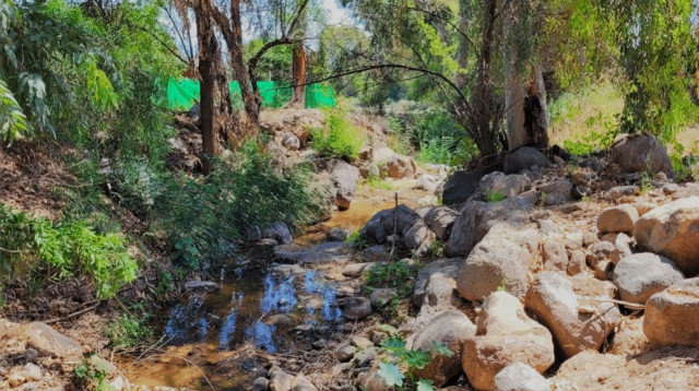 נחל רקת וגדותיו לפני  עבודות השיקום (צילום: מרים בן שלום)