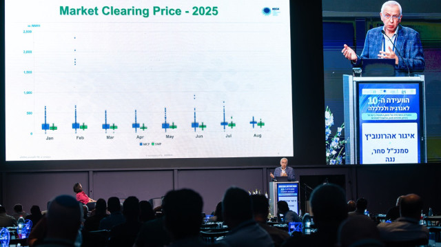 סמנכ"ל הסחר בנגה, איגור אהרונוביץ' (צילום: שאולי לנדנר,סטודיו ארט)