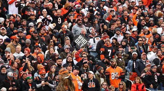 אוהדי פוטבול (צילום: Kevin Sabitus)