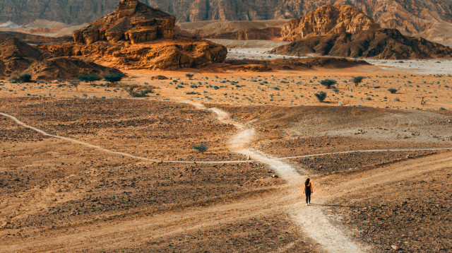 פארק תמנע  (צילום:  באדיבות פארק תמנע הערבה הדרומית)